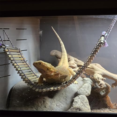 kathson Reptile Bridge for Terrarium,Bearded Dragon Wooden Bridges Gecko Hammock with Hanging Plants Lizard Lounger Bamboo Ladder Reptiles Tank Accessories Climbing for Chameleons Geckos Snakes (3Pcs) - size: Large