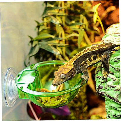 ULTECHNOVO 4pcs Reptile Feeding Bowl with Cup Escape Dish for Lizards Geckos Bearded Dragons Easy to Pet Water Food Dish for Reptiles - color: Green 4pcs