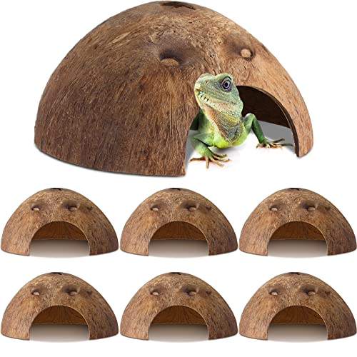 Woanger 6 Pcs Natural Coconut Reptile Hideouts, Coco Hut Hide Toys for Lizards, Geckos, Hermit Crabs, Snakes, Tarantulas, Small Reptile Habitat Decoration Supplies
