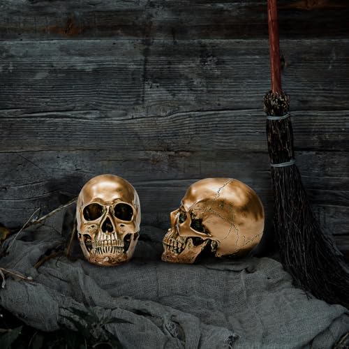 ECYC 1:1 Resin Human Skull Model Halloween Props Home Decorations High Fidelity Skull Head Sculpture Life Size, Bronze