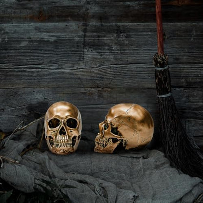 ECYC 1:1 Resin Human Skull Model Halloween Props Home Decorations High Fidelity Skull Head Sculpture Life Size, Bronze