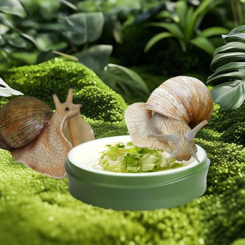 4 Pack Snail Water and Food Bowl with Tweezers, Shallow Feeder Dish for Terrarium Kit, 0.4-0.8 Inch Depth Enclosure Accessories for Hermit Crab and Reptiles