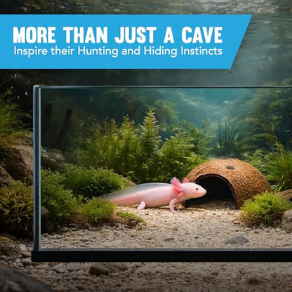 JOR Axolotl Cave, Coconut Shell Hideout and Resting Tunnel, Shelter for Pleco, Crabs, Fish, Turtles, Geckos, Tank Décor, 5” x 3”, 1 Pc Per Pack