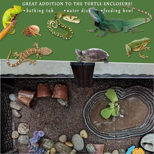 Reptile Bathing Pool with Steps - Ideal for Turtle, Salamander, Bearded Dragon, Lizard, Pixie Frog - Includes 2 Leaf-Shaped Feeding Dishes & Tweezers