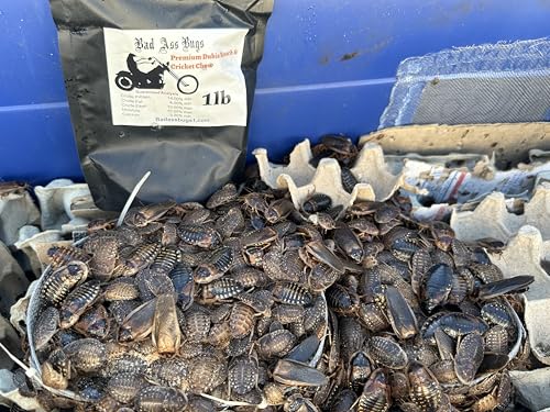 BadAssBugs™ 2LB Premium Dubia Roach & Cricket Chow - size: 2 LB