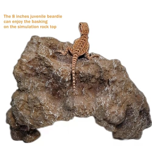 Reptile Simulation Rock Hideouts Cave Amphibian Hides Resin Habitat Decor Shelter for Gecko Leopard Lizards Toad Turtle (Medium) grey