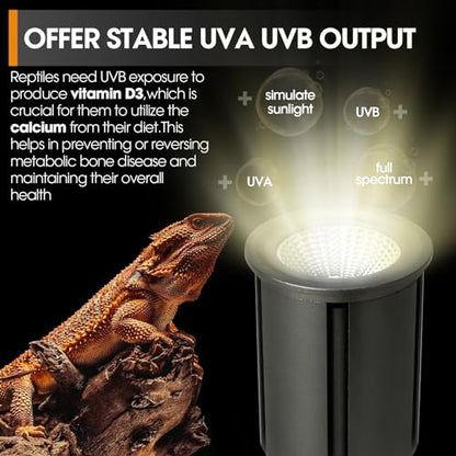 Premium UVB Reptile Light Full Spectrum for Optimal Calcium Metabolism,Desert 10.0 Bulb 3W UVA UVB Ideal for Desert-Dwelling Reptiles Bearded Dragons Tortoises - style: Desert 10.0 UVB Pro