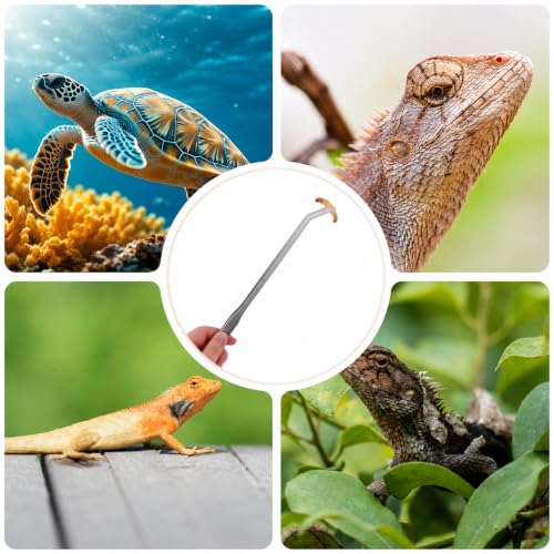 2PCS Reptile Feeding Tongs 10.6 Inch, Straight and Curved Stainless Steel Tweezers for Bearded Dragon, Snake, Gecko, Amphibian Health & Terrarium Maintenance
