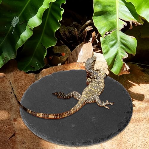 Reptile Basking Platform 5.9x5.9 inch Natural Rock Food Bowl Dish Tortoise Habitat Accessories Habitat Decor for Lizard Crested Gecko Bearded Dragon Turtle Reptiles Tank