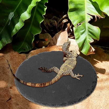 Reptile Basking Platform 5.9x5.9 inch Natural Rock Food Bowl Dish Tortoise Habitat Accessories Habitat Decor for Lizard Crested Gecko Bearded Dragon Turtle Reptiles Tank