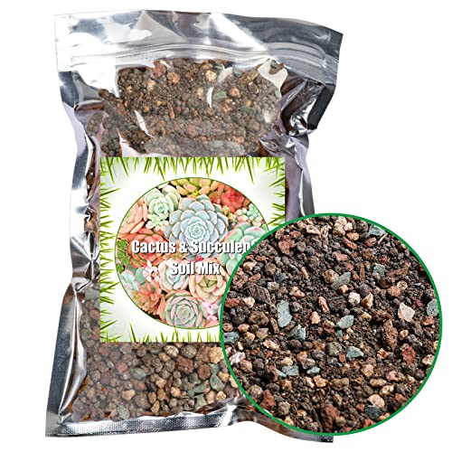 Doter Succulent and Cactus Soil Potting Mix 2.2 LBS, Bonsai Soil Mix Ready to Use, Fast Draining with Added Nutrients - size: 2.2 lbs