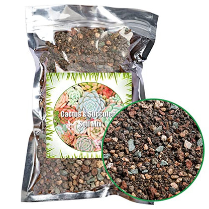 Doter Succulent and Cactus Soil Potting Mix 2.2 LBS, Bonsai Soil Mix Ready to Use, Fast Draining with Added Nutrients - size: 2.2 lbs