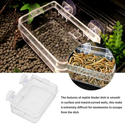 Hoypeyfiy 2Pcs Chameleon Feeding Bowl,Reptile Food Bowl,Water Dish Gecko Feeders for Lizard,Bearded Dragon,Snake