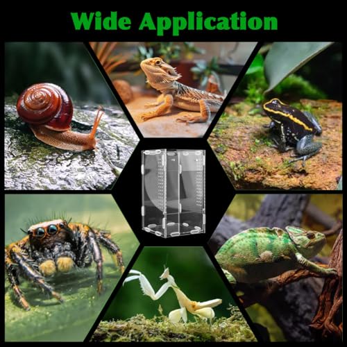 Acrylic Jumping Spider Habitat, Pre-Assembled Acrylic Terrarium, Bug Enclosure, Praying Mantis Habitat,with Magnetic Door & All-Side Ventilation 4"×4"×7" (Tweezer & Temp Sticker Included)