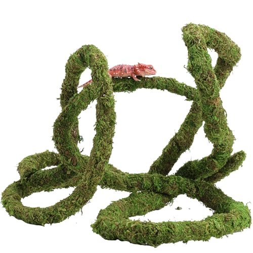 USMOLA Moss Vine for Reptiles, Bendable Climbing Vines Reptile Tank Accessories, Natural Moss Rope for Leopard Gecko, Lizard, Snake, Chameleon, Frog Terrarium Decor (Jungle Green, 9.8 FT) - size: 9.8 FT