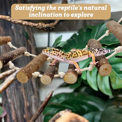 VCEPJH 2pcs Reptile Bridge Leopard Gecko Climbing Ladder Wooden Basking Lounger Reptile Tank Accessories for Hermit Crab Juvenile Bearded Dragon Chameleon Small Lizard (Fruit Wood)