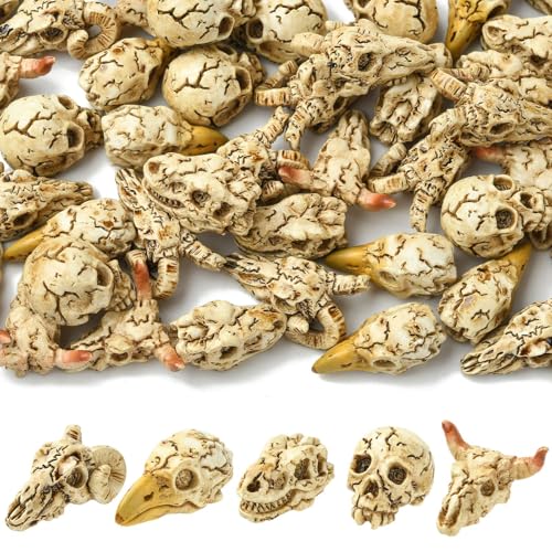 50 pcs 5 Styles Resin Animal Skull Figurines Mini Skull Head Decor Ornament for DIY Projects Halloween Christmas Micro Landscape Decor - color: 50pcs-21~24x12~23x11~13mm-resin Animal Skull Figurines