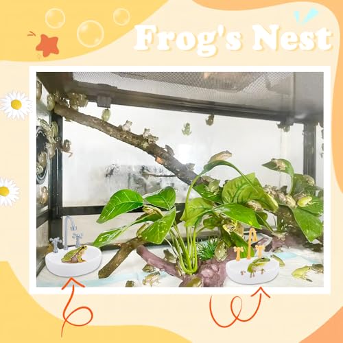 2 Pack Tree Frog Tank Accessories - Toad Habitat Decoration Reptile Creative Feeding Bowl for Toad, Tadpole, Lizard, Leopard Gecko, Hermit Crabs, Corn Snake, Spider, Scorpion, Amphibian, Aquatic