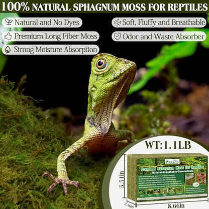 ZeeDix 1.1 lb Premium Sphagnum Moss for Reptiles | 25 qt Green Natural Reptile Moss Bedding, Long Fiber Reptile Moss for Leopards, Geckos, Snakes, Turtles, Frogs - color: 1.1lb