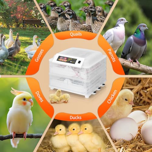 Winado Incubators for Hatching Eggs, 96 Egg Incubator with Automatic Egg Turning & Temperature Control, Egg Candler, and Day Counter for Chicken, Duck, and Quail Eggs Hatching