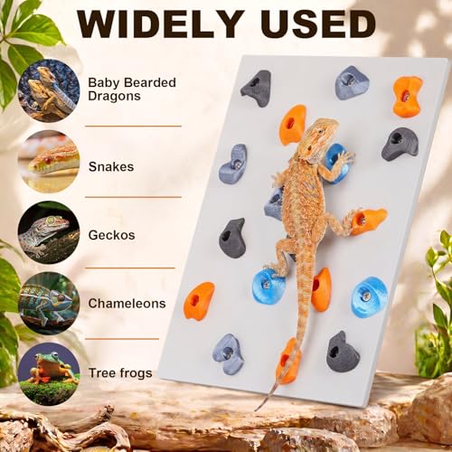 Junkin Reptile Rock Climbing Wall with Climbing Grips, 9.8 x 7.9 Inches Terrarium Enclosure Habitat Decor Reptile Tank Enrichment Accessories for Bearded Dragons, Geckos, Lizards & Snakes