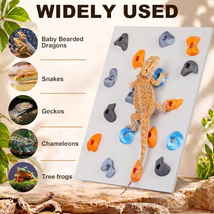Junkin Reptile Rock Climbing Wall with Climbing Grips, 9.8 x 7.9 Inches Terrarium Enclosure Habitat Decor Reptile Tank Enrichment Accessories for Bearded Dragons, Geckos, Lizards & Snakes
