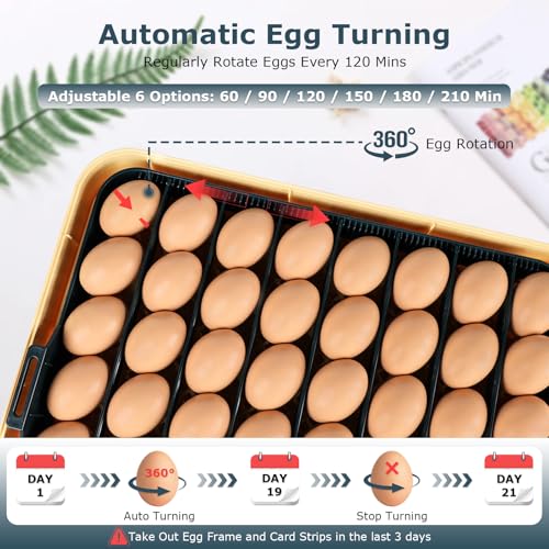 Incubators for Hatching Eggs, 56 Eggs Incubator with Egg Candler, Auto Egg Turner, Temp & Humidity Control, Hatch Day, 360° Viewing for Chicken, Duck, Quail Eggs, Ideal for Farm, School and Lab