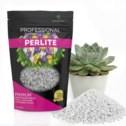 Professional Perlite for Plants 2.2 Quarts, Medium Grade Perlite Soil Additive for Indoor Outdoor Plants, Perlite for Gardening, Lightweight pH Neutral Soil Amendment, Made in USA - style: Perlite Soil Additive (2.2 Quarts)