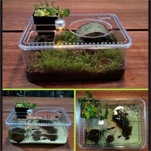 Reptile Tank Turtle breeding Tank Water and Land with Sun Drying Platform Small Desktop Easy Assembly