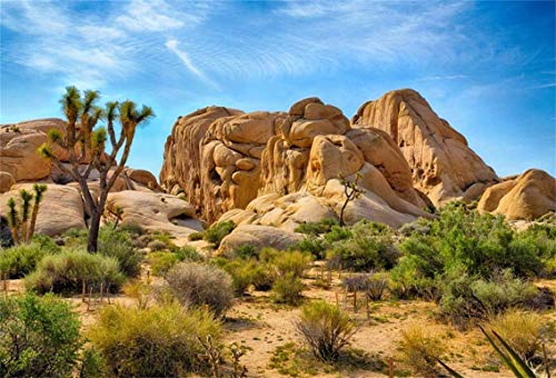 Leyiyi 5x4ft Joshua Tree National Park Photography Backdrop Western Sky Desert Cowboy Weathering Rock Drought-Tolerant Plant Cactus Terrarium Background Aquarium Wallpaper Polyester Photo Studio Prop - color: Desert3, size: 5x4ft-P