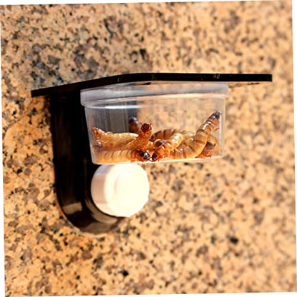 BESPORTBLE 5pcs Reptile Food Water Bowl for Tortoise Lizards Pet Bowls Suction Cup Reptile Feeder Easy to Clean - size: Size 3