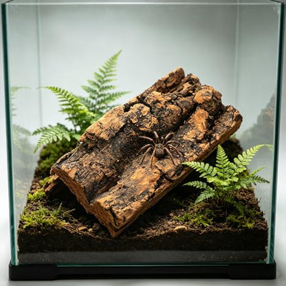 VOSAREA 10pcs Natural Bark Sheets for Reptile Tank Background, Safe and Flat Climbing Wall Mats for Snake and Amphibian Terrarium Shelter
