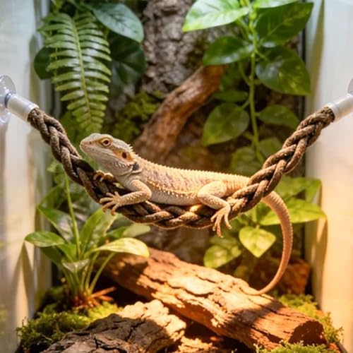 LIYAOLI Reptile Vines with Suction Cups,Realistic Bark Climbing Branch for Reptiles, Reptile Bridge for Terrarium Decor,Gecko Snake Chameleon Cage Bearded Dragon Tank Accessories (21 Inch - 1pack) - size: 21 Inch - 1pack