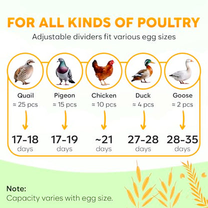 Okkobi M12 Egg Incubator with Automatic Turner and Humidity Control - 12/24 Eggs, 360° View, Easy to Use and Clean - Incubadora de Huevos de Gallina - Made for US - White & Green - color: Green