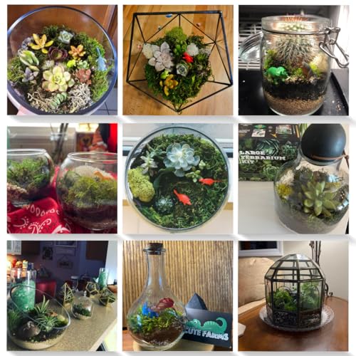 Cute Farms Terrarium Starter Kit | Moss, Vermiculite, Soil, Pebbles, Plant Food, & Finishing Tools (Large Kit + Crystals) - size: Large Kit + Crystals