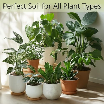 Coconut Coir Potting Soil for Indoor Plants - Expands to 5 Quart (11 lb) | Bonsai Soil Discs Perfect for General Houseplants, Herbs, and Bonsai Trees - Expands with Water - size: 5 Quart