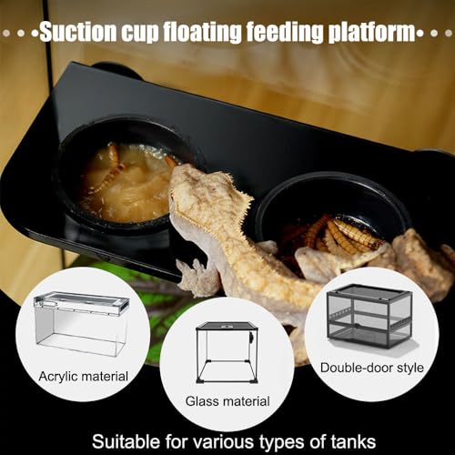 DONGKER Gecko Feeding Ledge,ABS Reptile Feeding Dish with 2 Pack Water Bowl & Suction Cup for Reptile Lizard Bearded Dragon