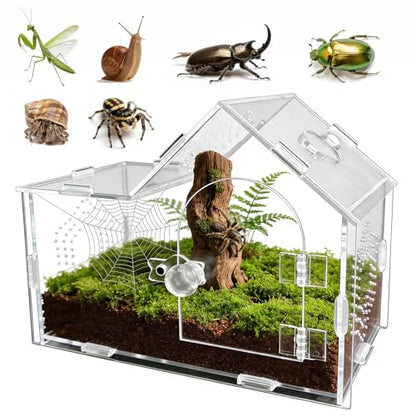 Acrylic Jumping Spider Enclosure with Magnetic Lock – Clear Ventilated Terrarium Box for Tarantulas, Geckos, Mantises, Hermit Crabs, Snails, and Other Small Pets (7.9 x 4 x 6 Inch)
