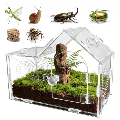 Acrylic Jumping Spider Enclosure with Magnetic Lock – Clear Ventilated Terrarium Box for Tarantulas, Geckos, Mantises, Hermit Crabs, Snails, and Other Small Pets (7.9 x 4 x 6 Inch)