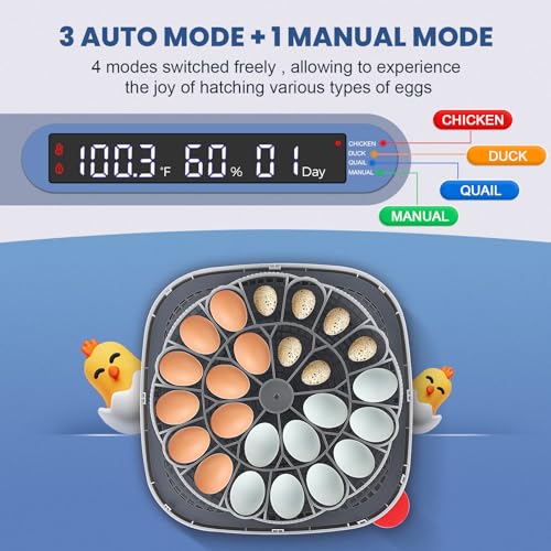 Sailnovo 24 Eggs Incubator for Chicken Eggs with 4 Modes, 360° View Incubator with Automatic Egg Turning and Temperature Control Humidity Display, Digital Incubator for Chicken Quail Duck(Sky Blue)