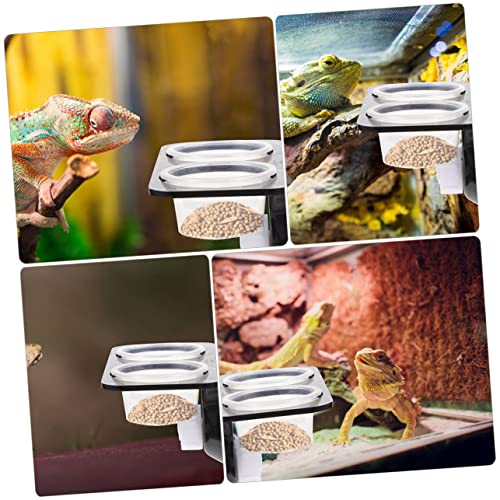 1set Practical Reptile Feeder for Geckos Double Cups Food Bowl Decor for Tank Easy to Clean
