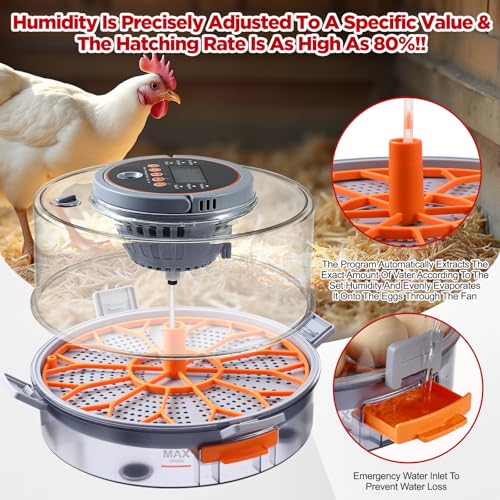 Chicken Egg Incubator 12-40 Eggs - Automatic 760° Egg Turner with Digital Display, Auto Temperature Humidity Control for Hatching Chicken Duck Quail Eggs, High Hatch Rate Poultry Incubator