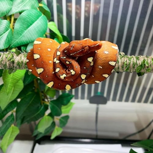 Snake Climbing Stick is Suitable for Ball Python Lizard Tarantula Snake Hermit Crab Leopard Gecko Tree Frog Climber Accessory Terrarium Habitat Decoration (S(11.69inch-21.65inch))