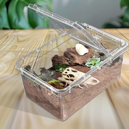 10Pcs Reptile Feeding Box, Transparent Animal Habitat Cage Spider Terrarium, Plastic Breeding Box for Reptile Turtle Spider Frog Scorpion Snake (5.9 x 3.9 x 2.5 in)