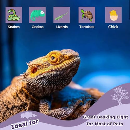 75W Reptile Night Light Bulb – Purple Basking Spot Lamp with Simulated Moonlight for Lizards, Chameleons, Snakes, Turtles, Amphibians – UVA Heat Light – 2 Pack | 3.2" - color: Purple, size: 75W - Gen1 - R63