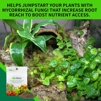 The Bio Dude BioShot for bioactive Substrate - Soil inoculant and Plant Booster (6 Quart Substrate Shot) - size: 6 quart substrate shot