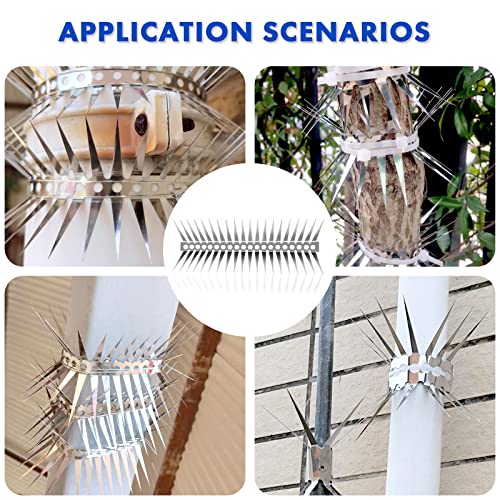 Bird Spikes - Stainless Steel Fence Spikes for Pigeons, Raccoons, Snakes - Deterrent Defender (20inch) - style: 20inch