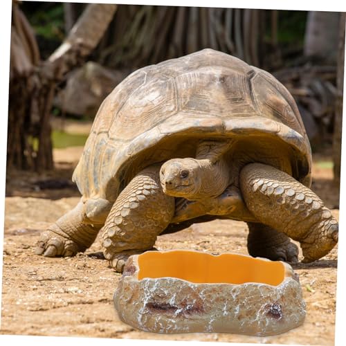 Reptile Water Feeder Durable Pet Drinking Tool for Lizards Geckos Animals Easy to Unique Design for Feeding Hydration Needs
