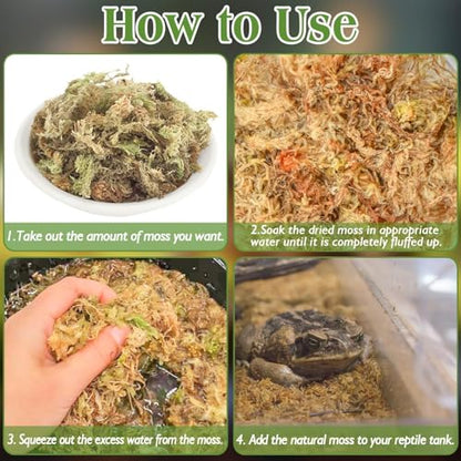 Halatool 6OZ Natural Sphagnum Moss Substrate for Reptiles - Terrarium Bedding with 72H Moisture Retention, Safe for Bearded Dragons, Geckos & Snake Shedding - size: 6 OZ