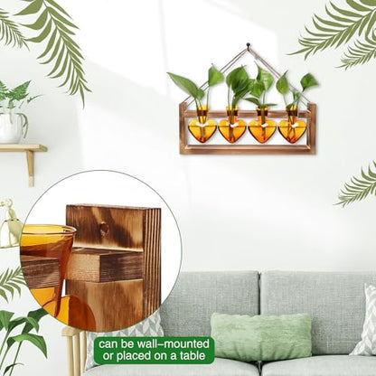 Plant Propagation Stations Heart Plant Terrarium Kit Gift for Women Plant Lover Glass Vases - color: Amber
